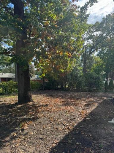 Gorgeous, flat backyard with mature tress