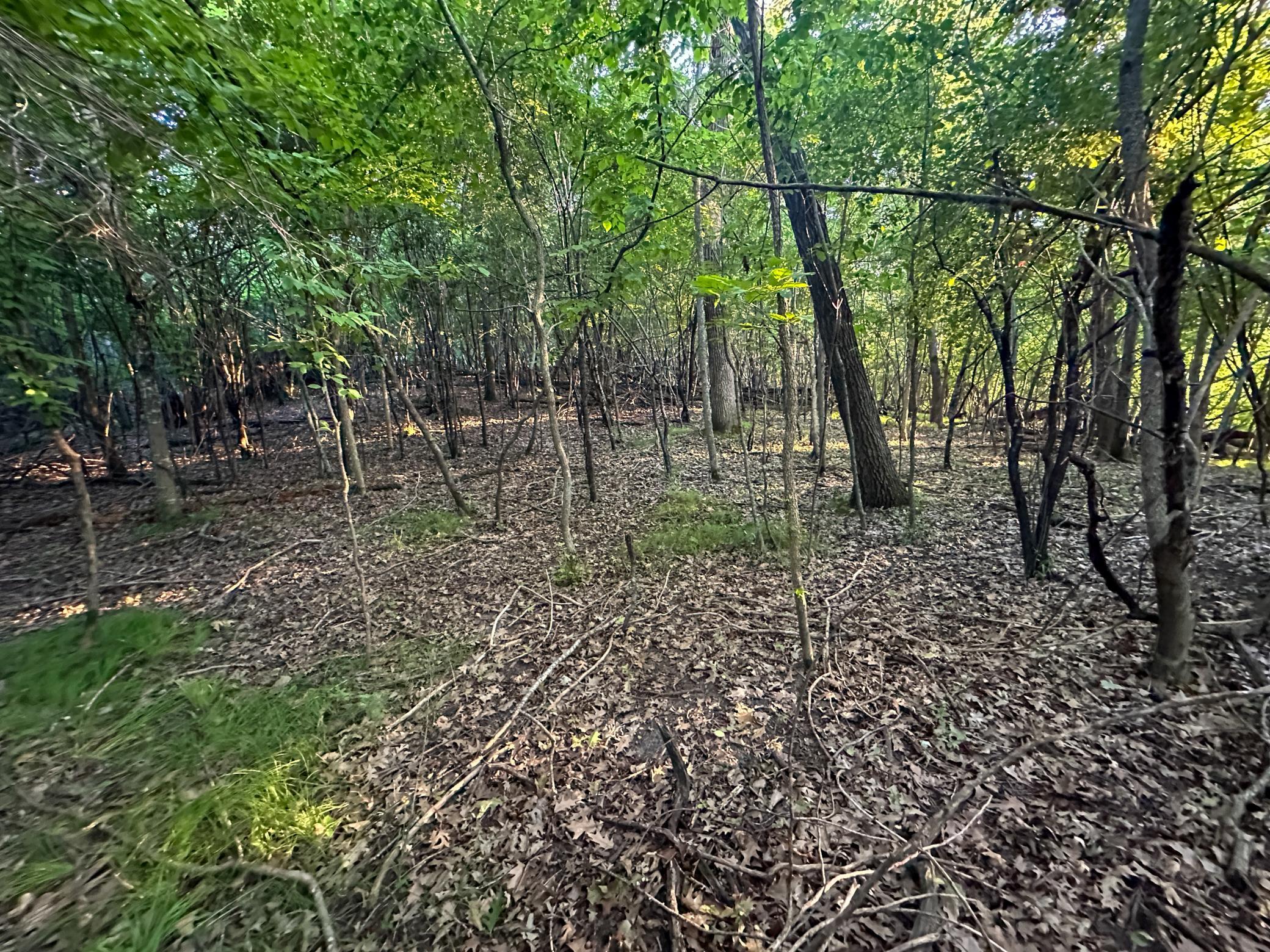 Goodhue 17-50.jpg