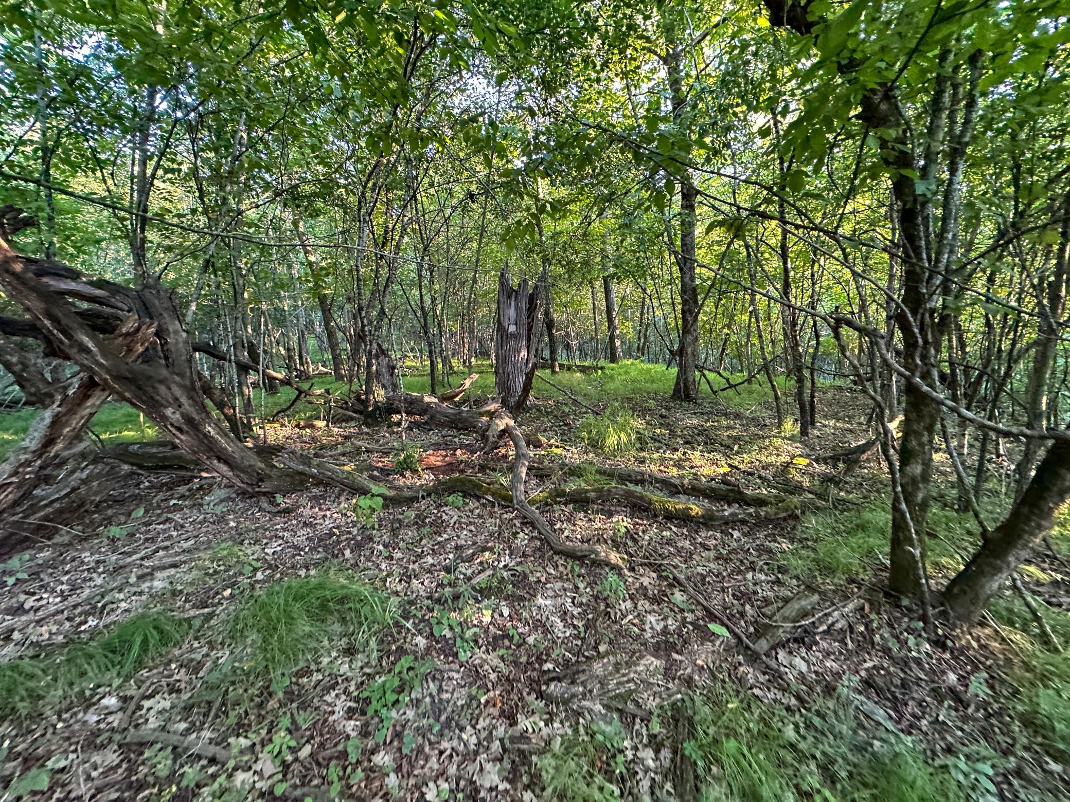 Goodhue 17-30.jpg
