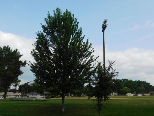 DSCN1960.JPG