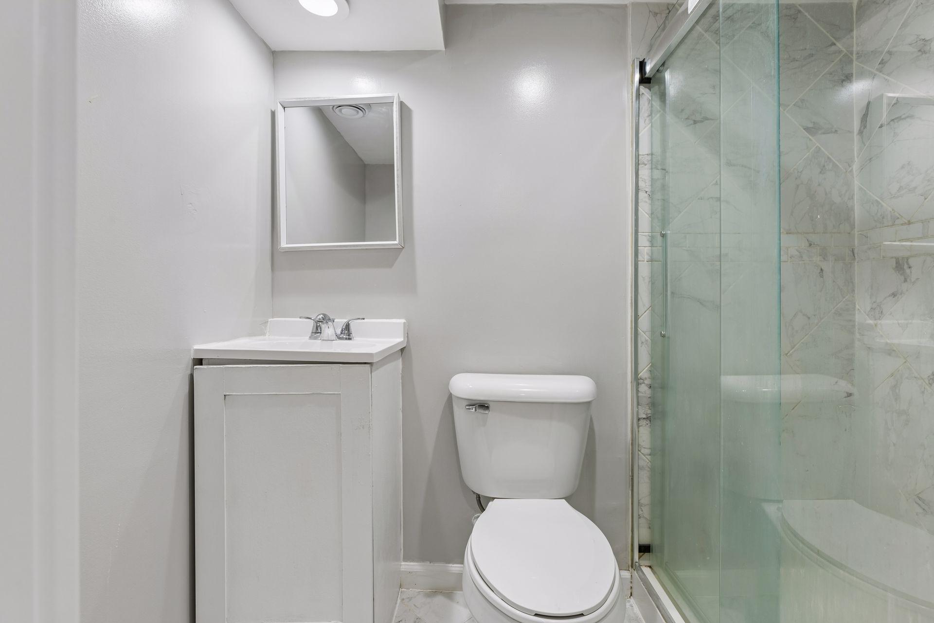 Lower level bathroom