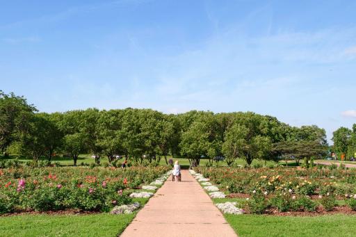 Steps to Rose Garden