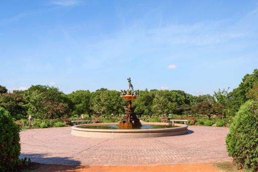 Rose Garden