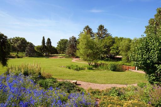 More images of the Rose Garden