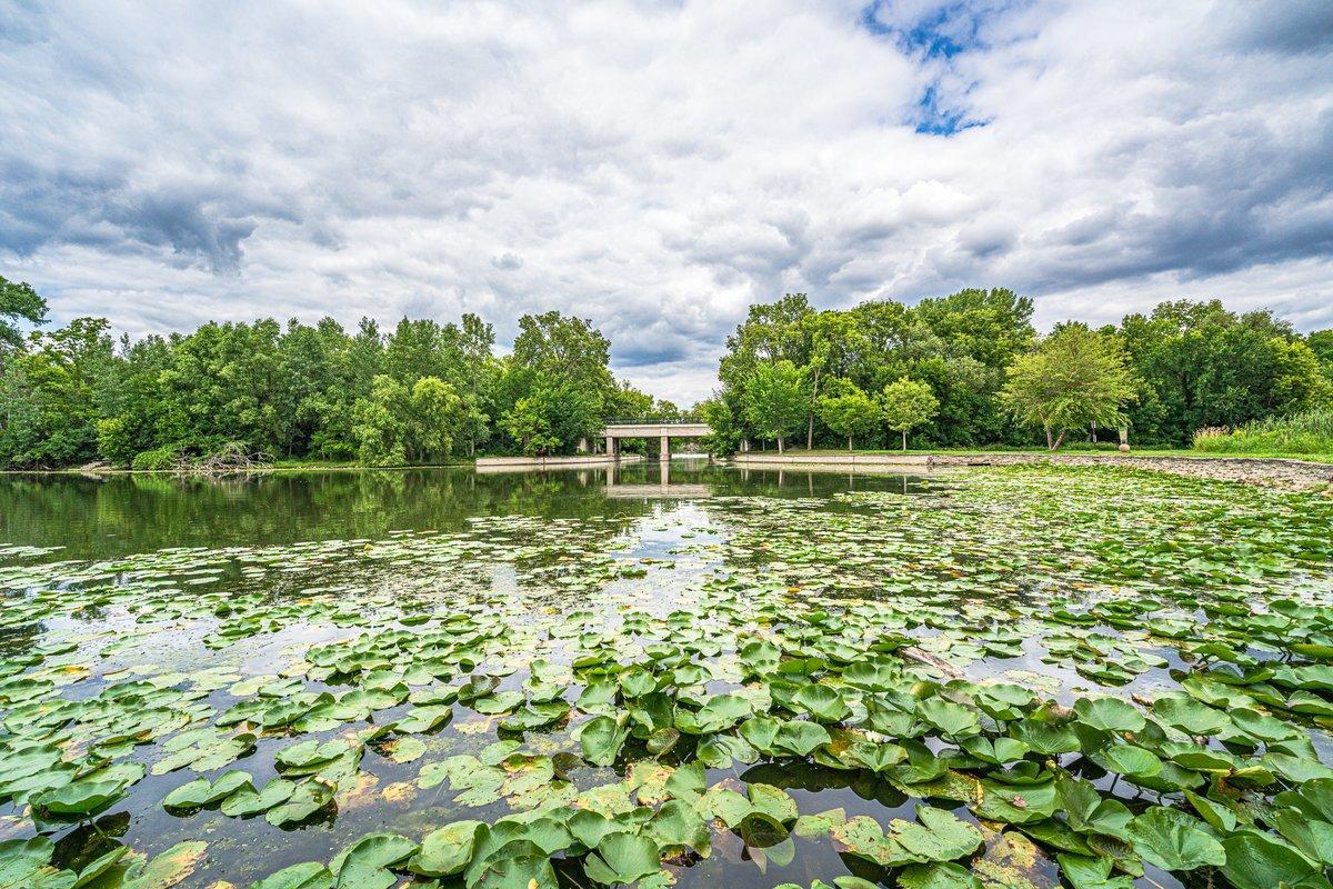 Lake of the Isles 2.jpg