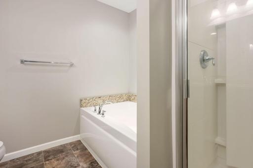 Soaking tub in Primary bath