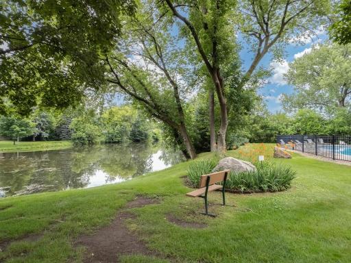 A quiet spot to sit by the pond, relax, and enjoy the peaceful surroundings.