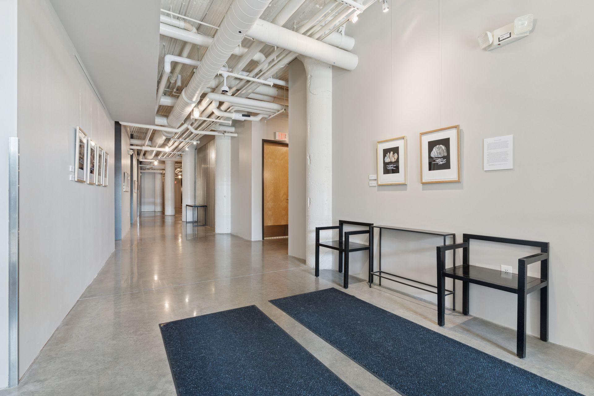 Gallery like atmosphere in the hallway