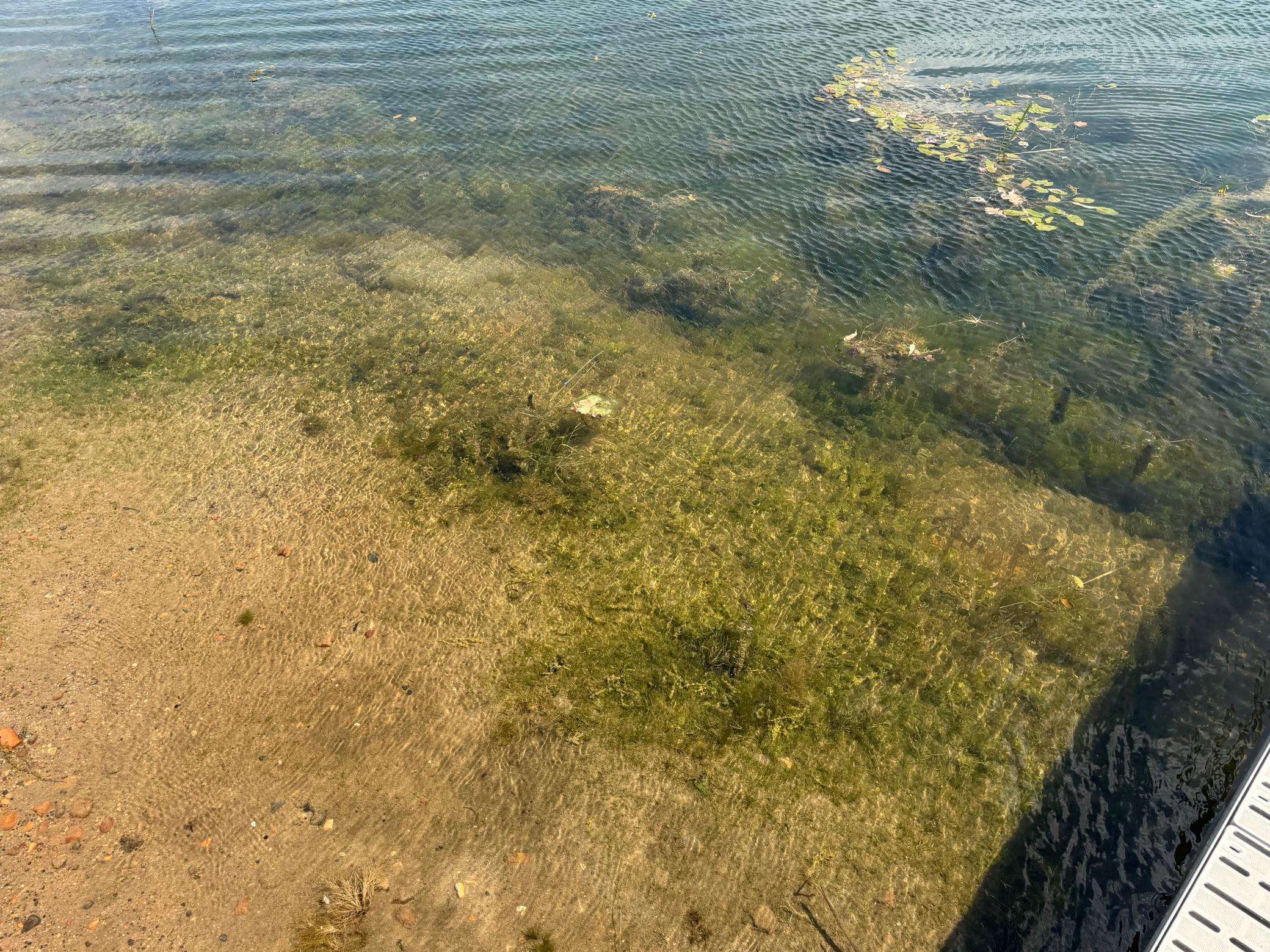 Wood Lake