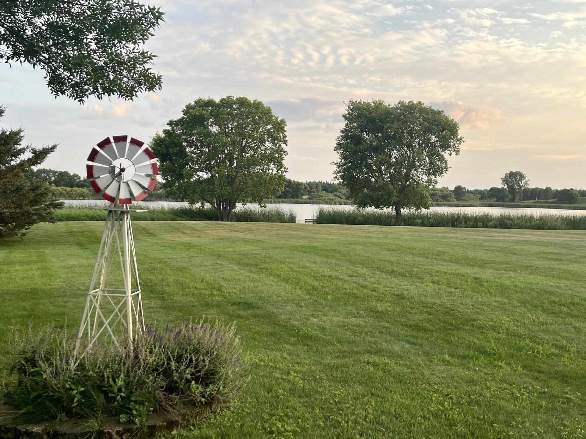 Backyard view