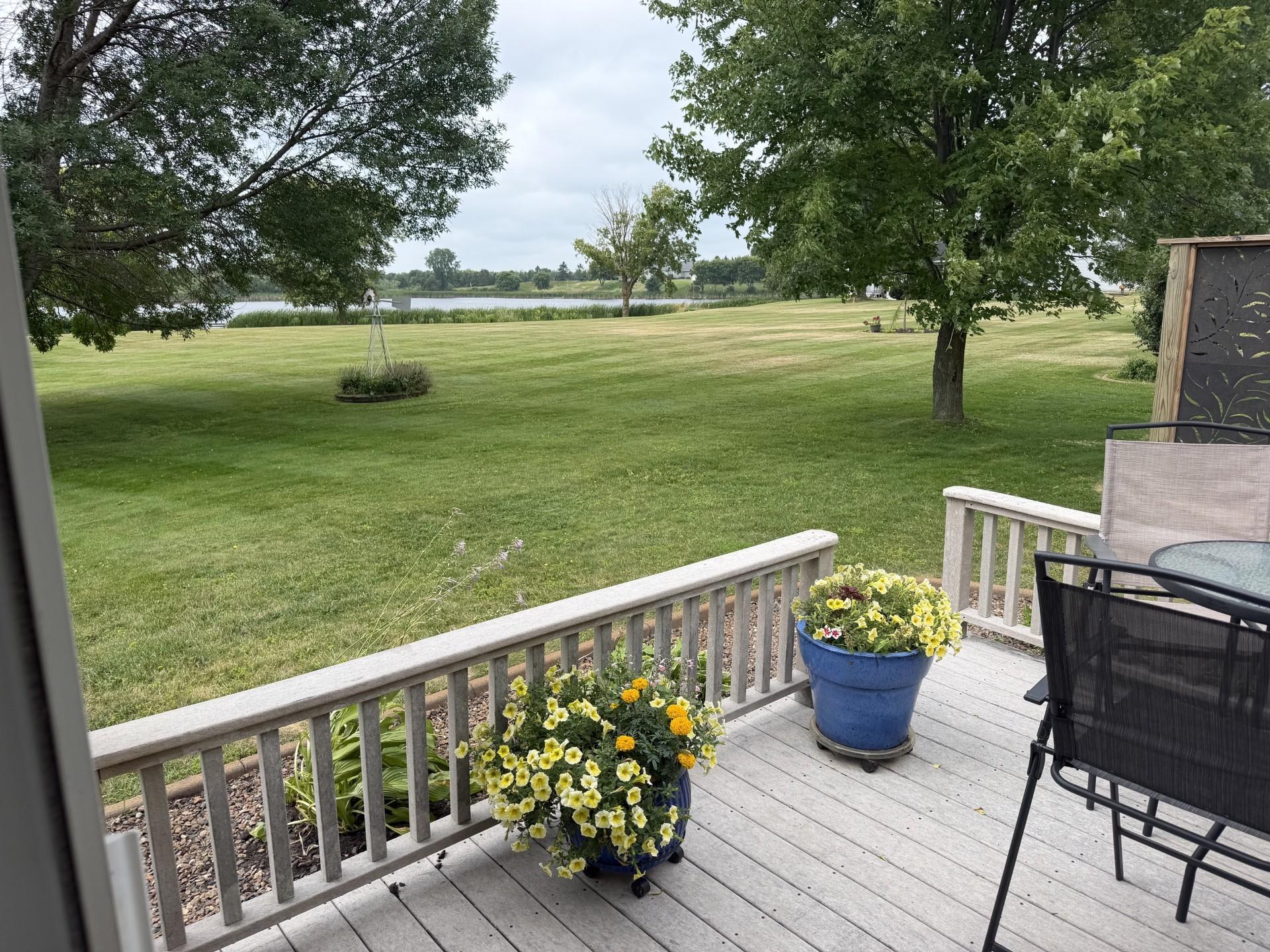 Large backyard