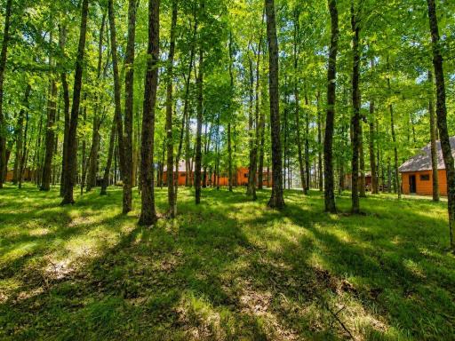 12635 N Neumaier Road, Hayward, WI 54843