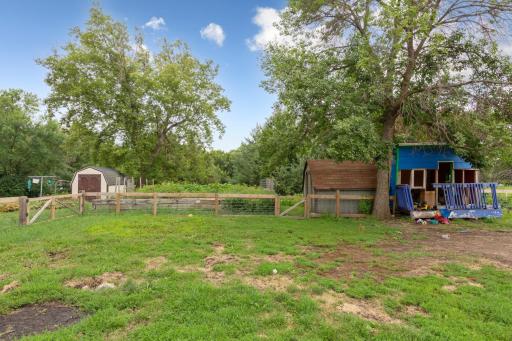 10 back.jpg