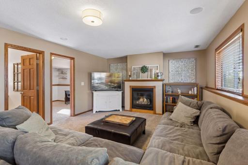 737 Williams Drive, Hastings, MN 55033