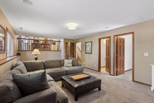 737 Williams Drive, Hastings, MN 55033