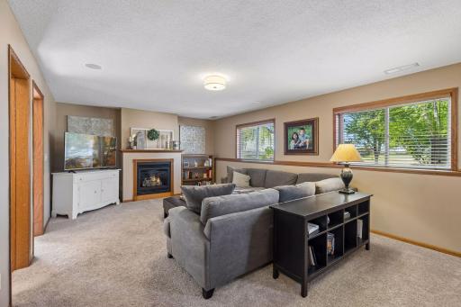 737 Williams Drive, Hastings, MN 55033