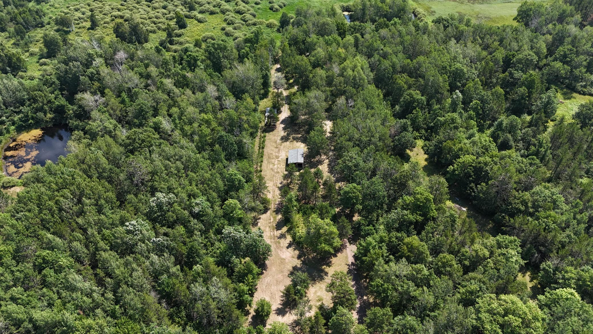 Park like area - perfect area for hobby farm animals