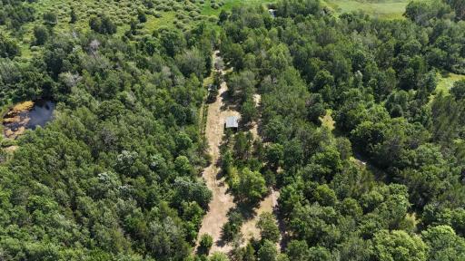 Park like area - perfect area for hobby farm animals