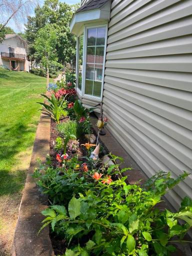 Seller's Photo of Garden