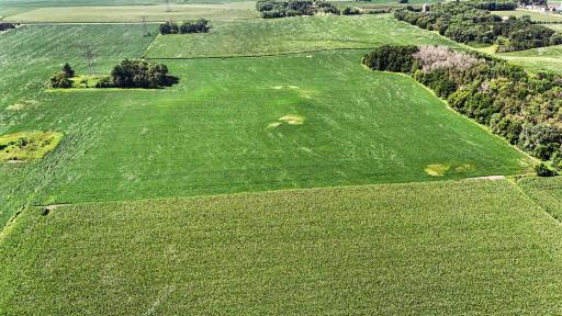 TBD 50th St S, Afton, MN 55001
