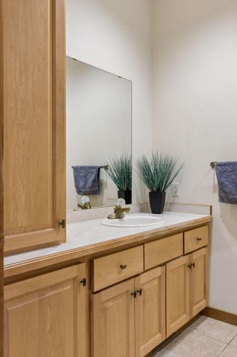 273 Turnberry Court, Hudson, WI 54016