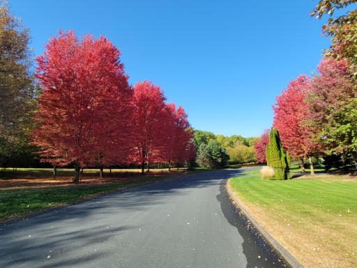 Troy Burne in the fall months, features mature tree-lined streets.