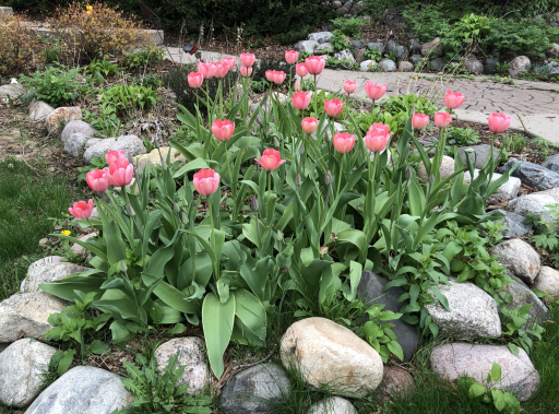 The gardens here are something specialâand theyâve had years to fill in beautifully.