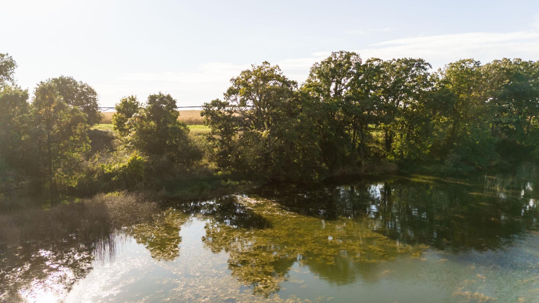 13265 East 4 Acre Pond.jpg
