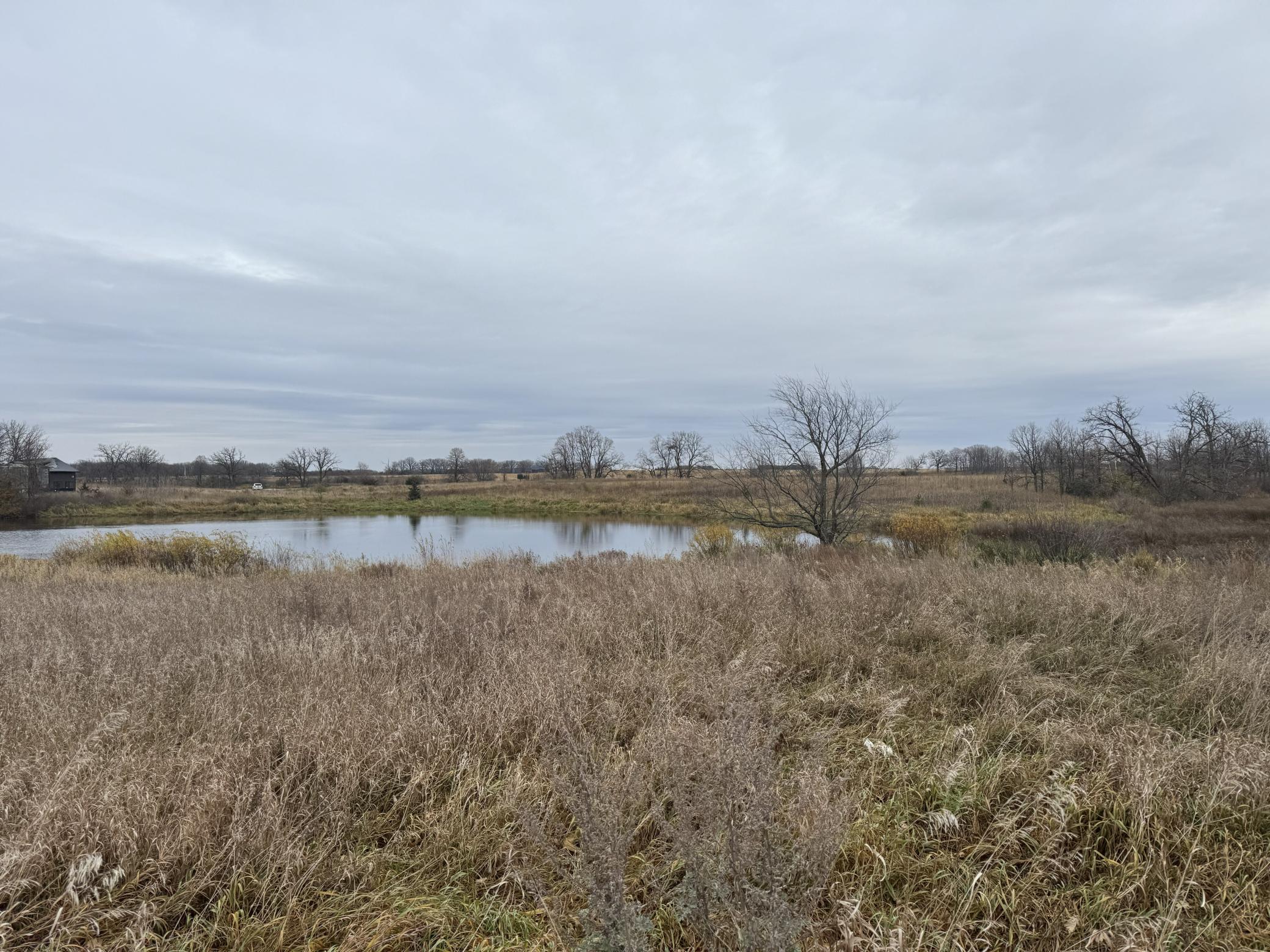 Horsehead Pond on E .jpg