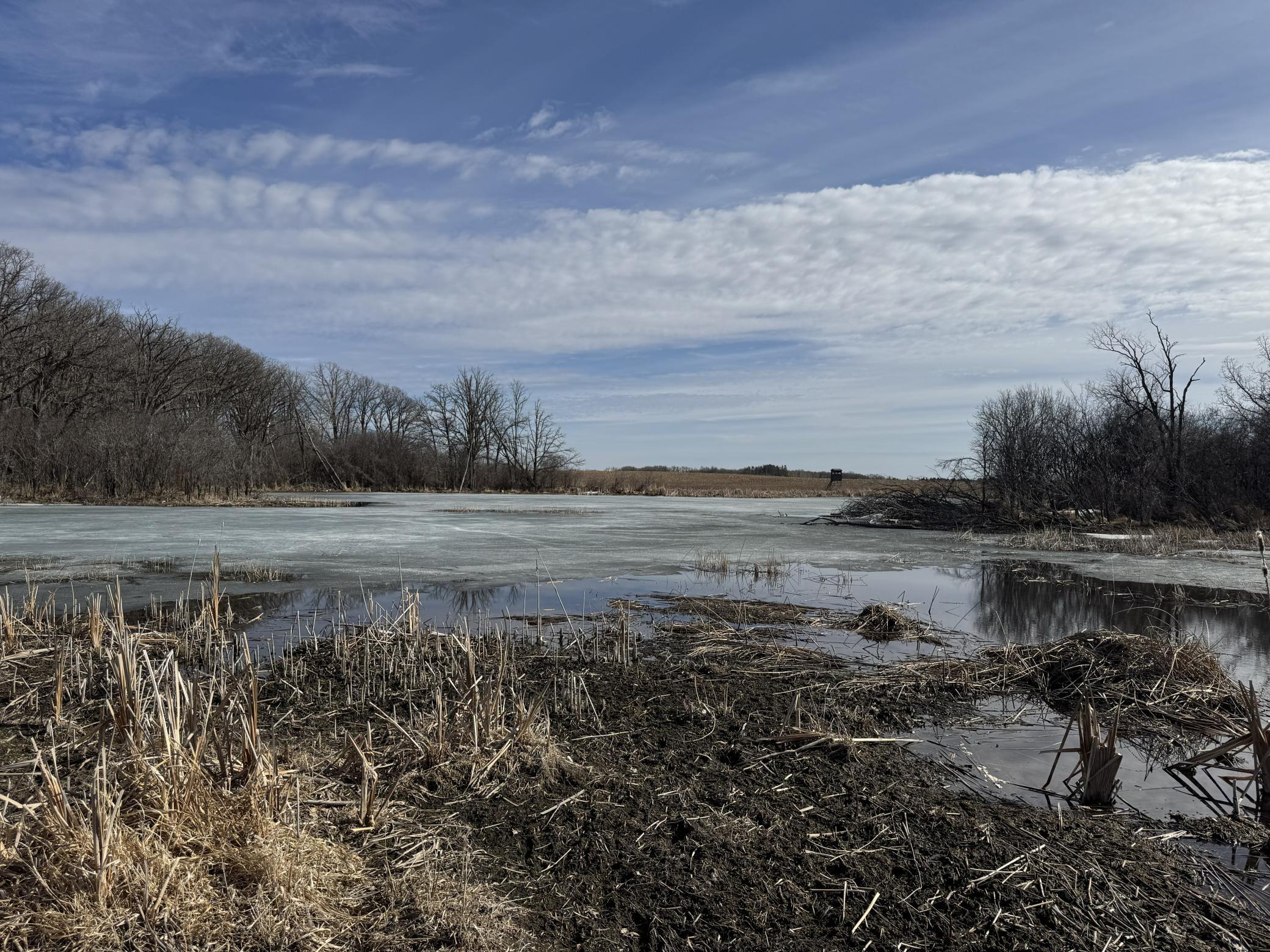 Horsehead 4 Acre Pond .jpg
