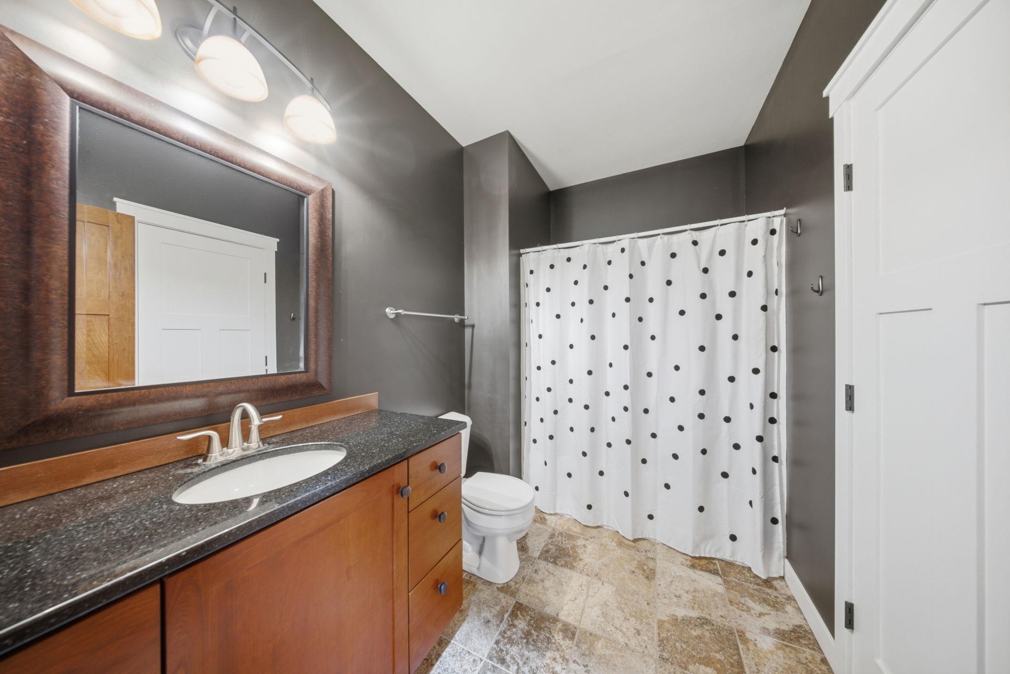 Lower level bathroom