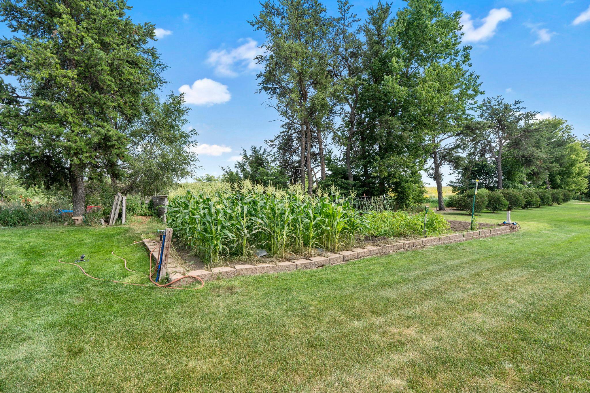 Love to garden? This is ready for you!