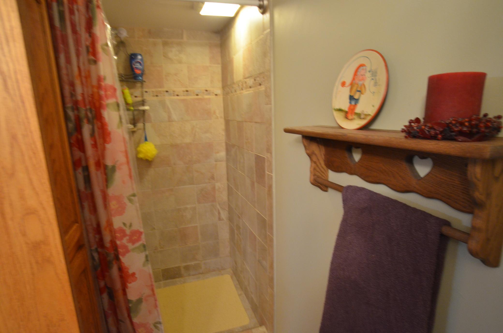 Basement bathroom