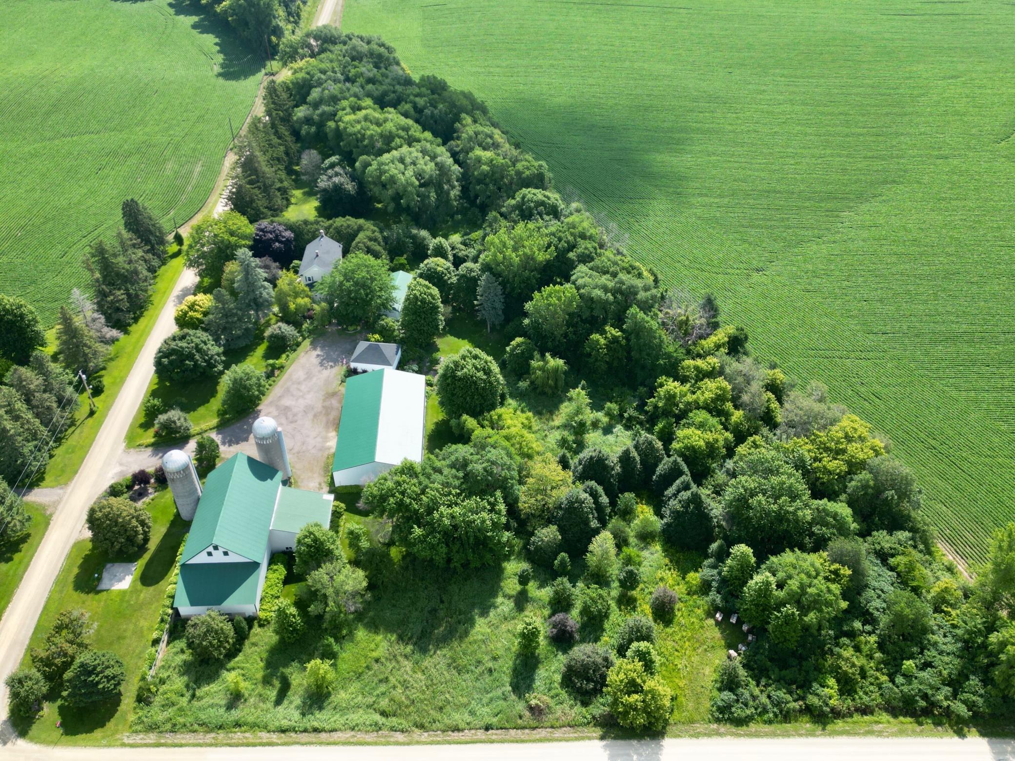 dji_fly_20260712_120308_236_1783782808530_photo.JPEG