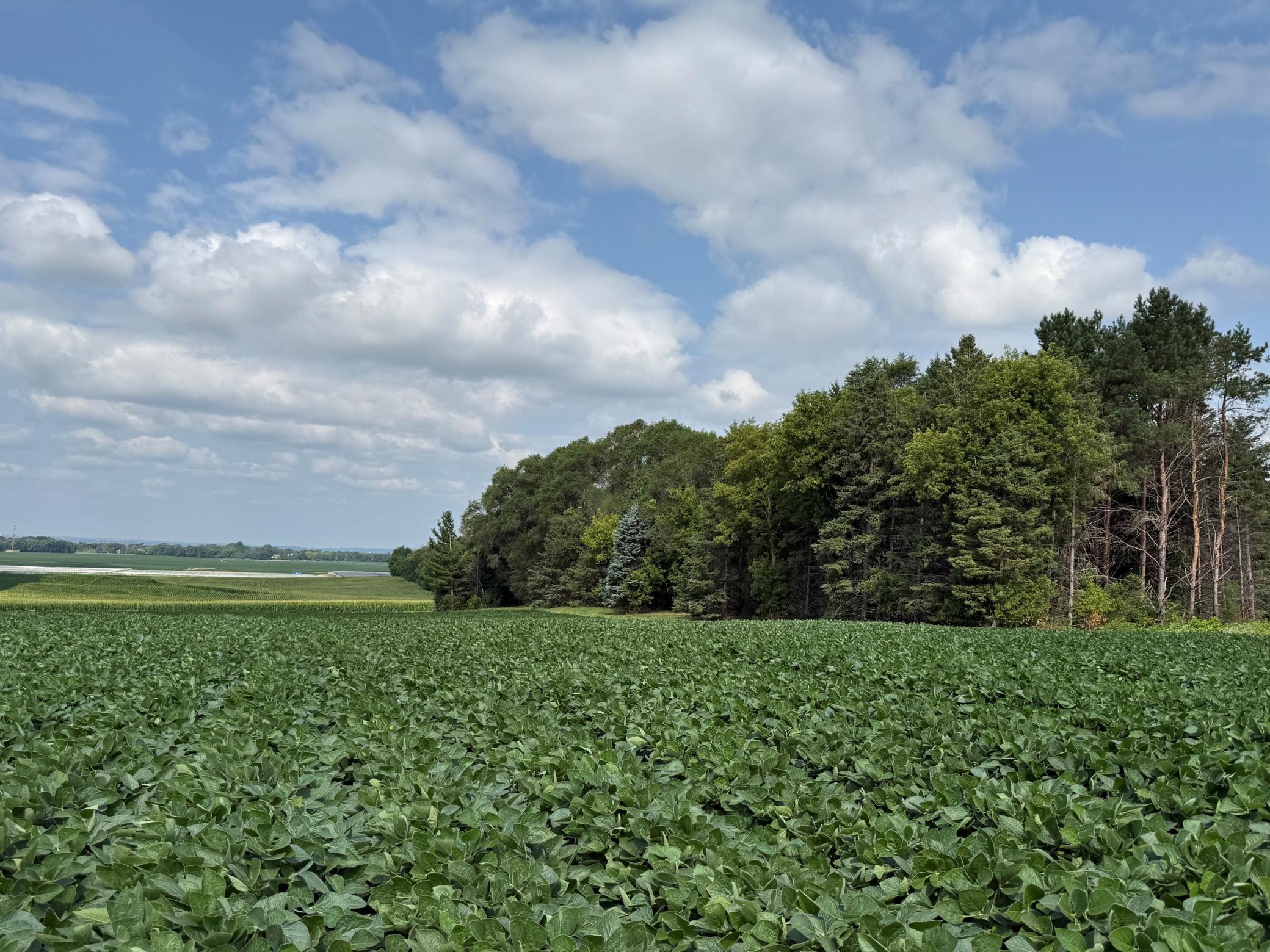 lot b 6.jpg
