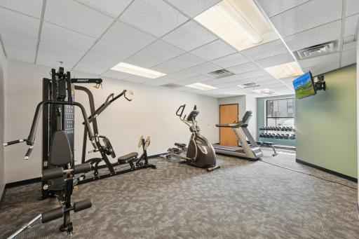Exercise room with many machines, benches, weights and matts.