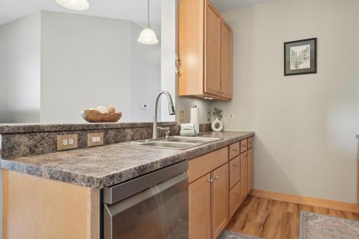 Stainless steel appliances - new dishwasher and disposal by current owner
