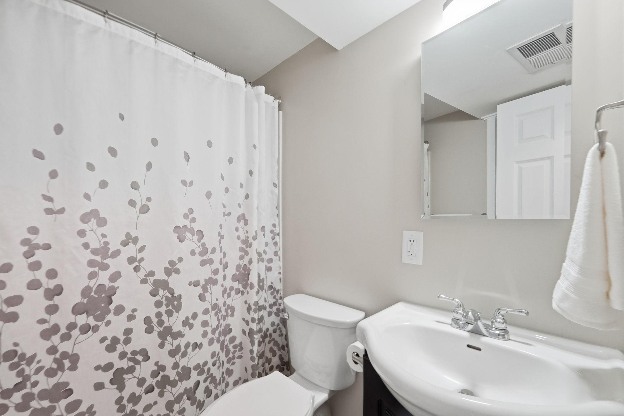 Full Basement Bathroom