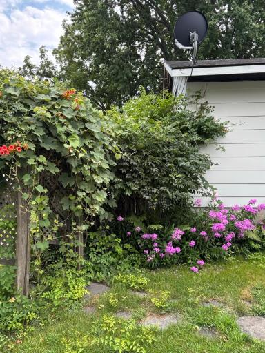 601 Harrison Avenue, Sacred Heart, MN 56285