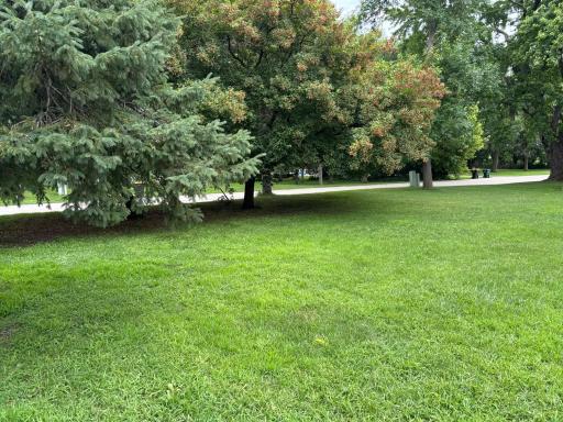 601 Harrison Avenue, Sacred Heart, MN 56285