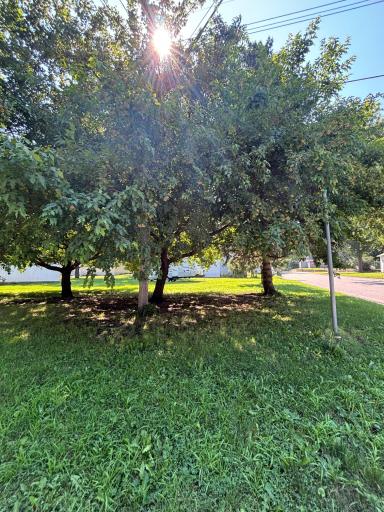 601 Harrison Avenue, Sacred Heart, MN 56285