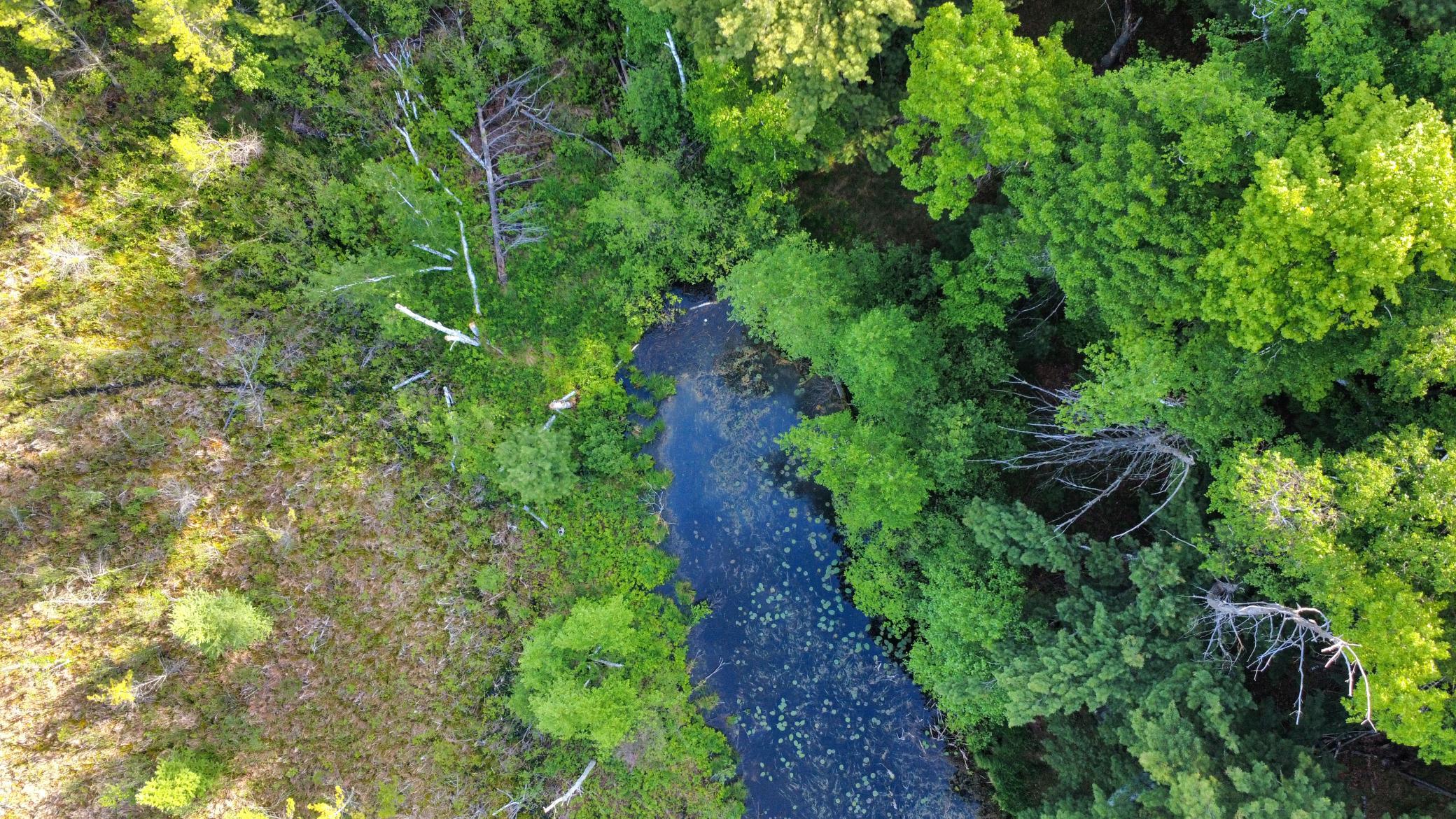 Channel