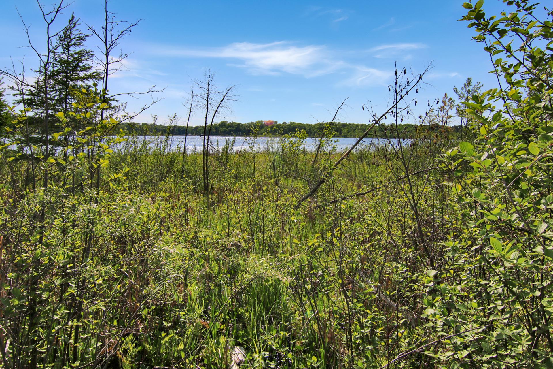Roy Lake