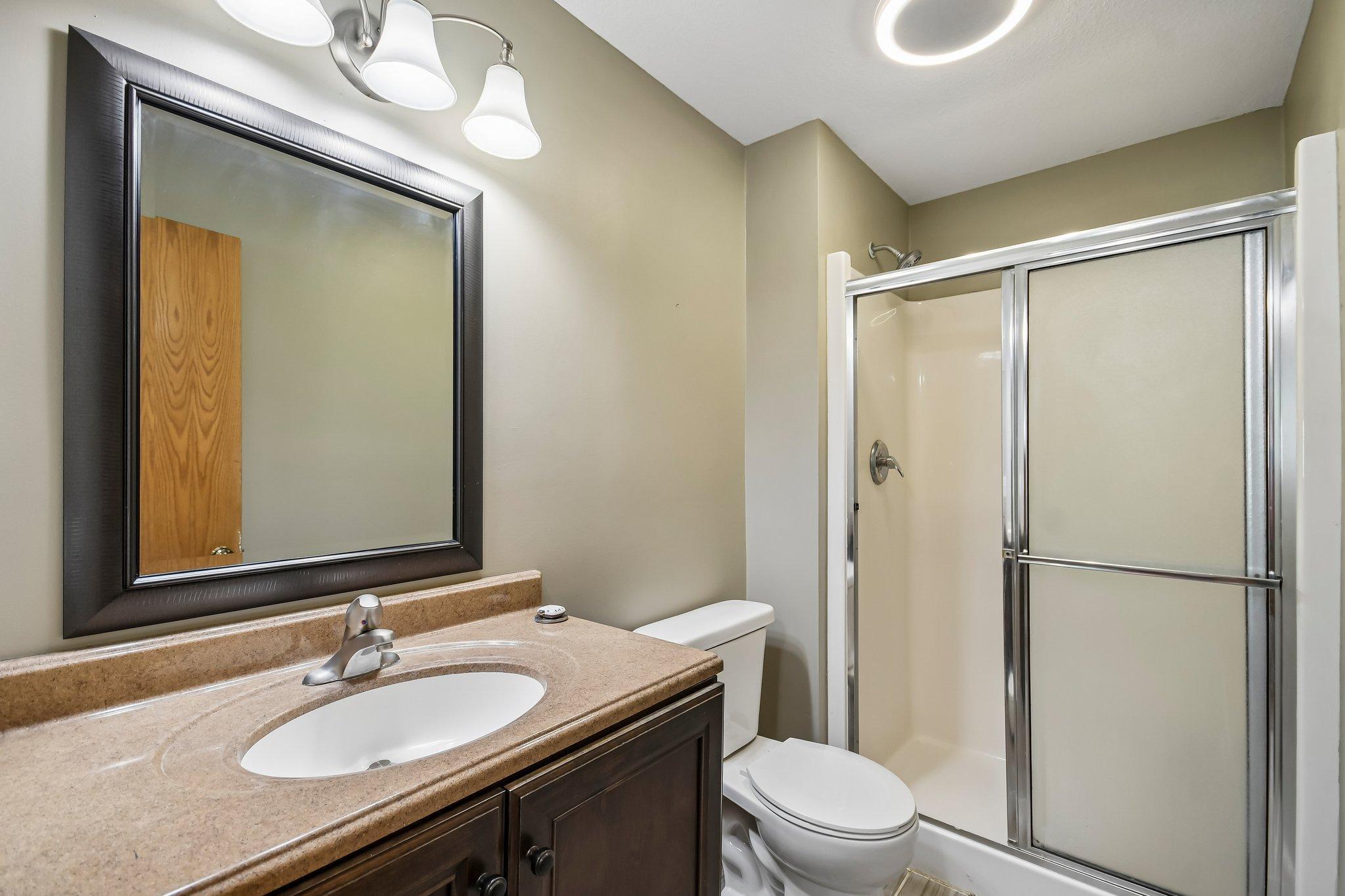 Lower level bathroom
