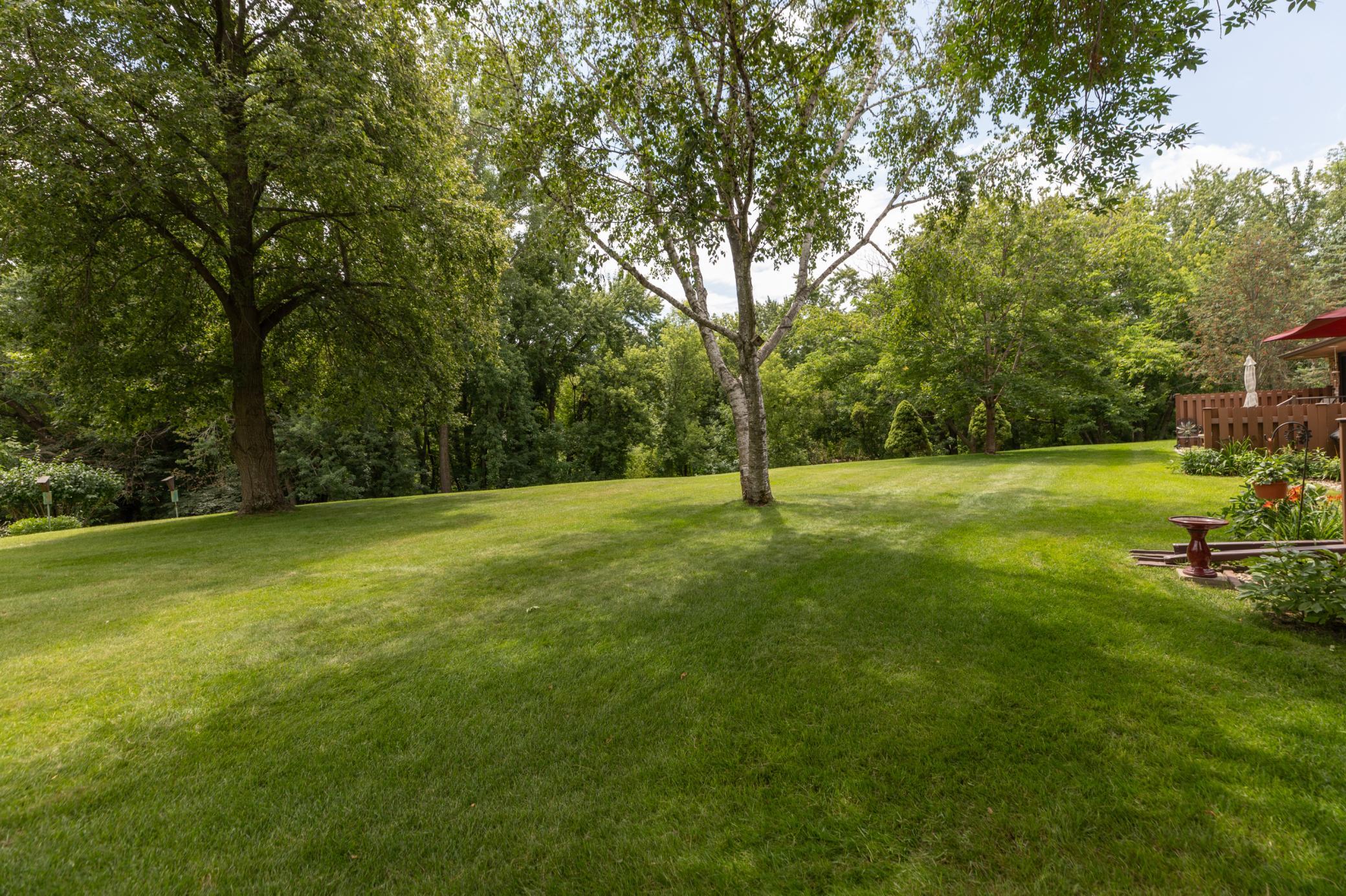 View from patio