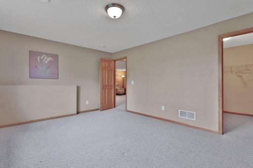 Basement bedroom. Custom closet shelving throughout home. This room has a walk-in closet.