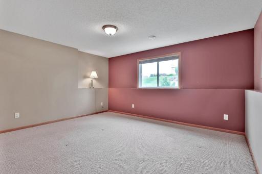 Lower level bedroom with spacious walk-in closet.
