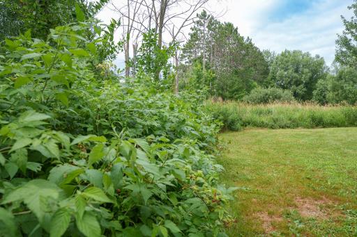17028 W State Highway 64, Gilman, WI 54433