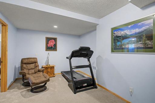 15235 Yellow Pine Street NW, Andover, MN 55304