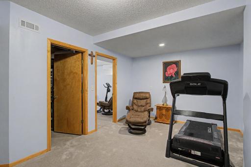 15235 Yellow Pine Street NW, Andover, MN 55304